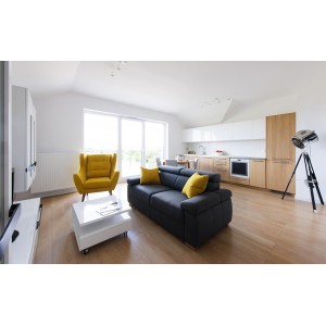 Крісло Henry Etap Sofa на дерев'яних ніжках