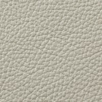 EV-41 Light Grey
