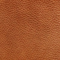 G-306 savannah