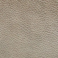 G-308 Taupe