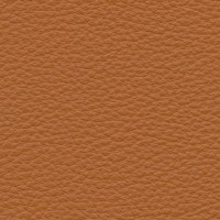 MF-04 amaretto