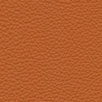 MF-14 cognac