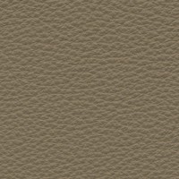 MF-16 mocca