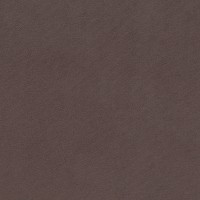 Piano-KR10691