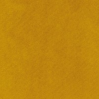 Piano-KR10789