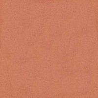 Venus velvet 2933