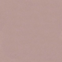 Venus velvet 2934