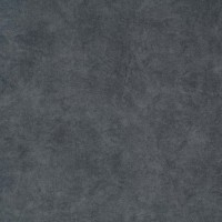 Zoya 10