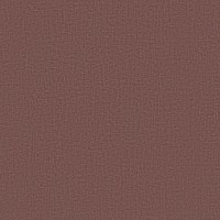 Maya 16