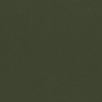 Matt velvet 38